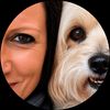 dogmilow