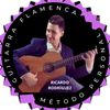 ricardo_guit.flamenca