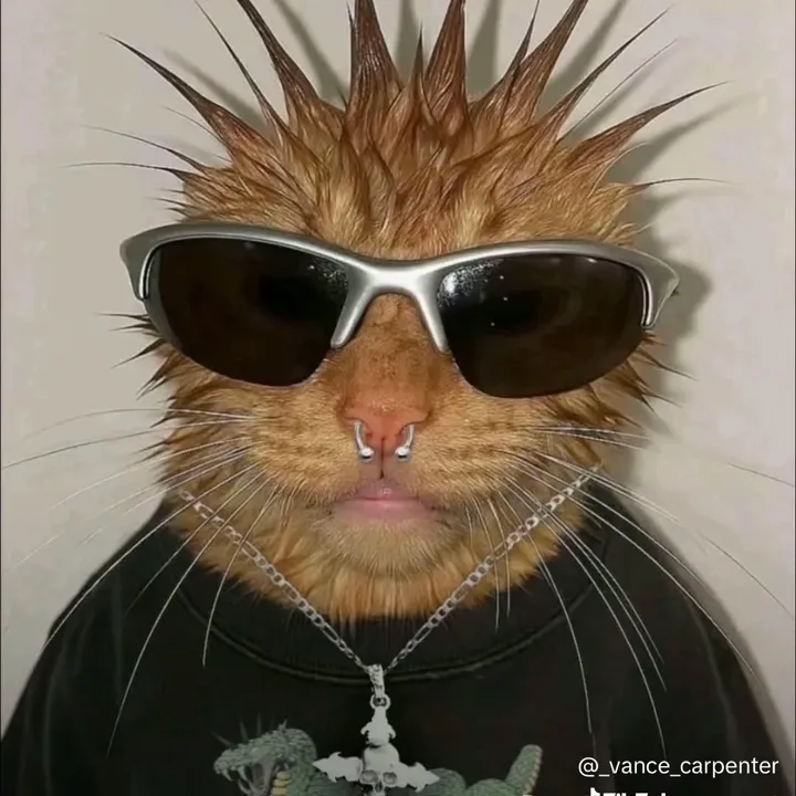 @sternburgrotbiszumtod
