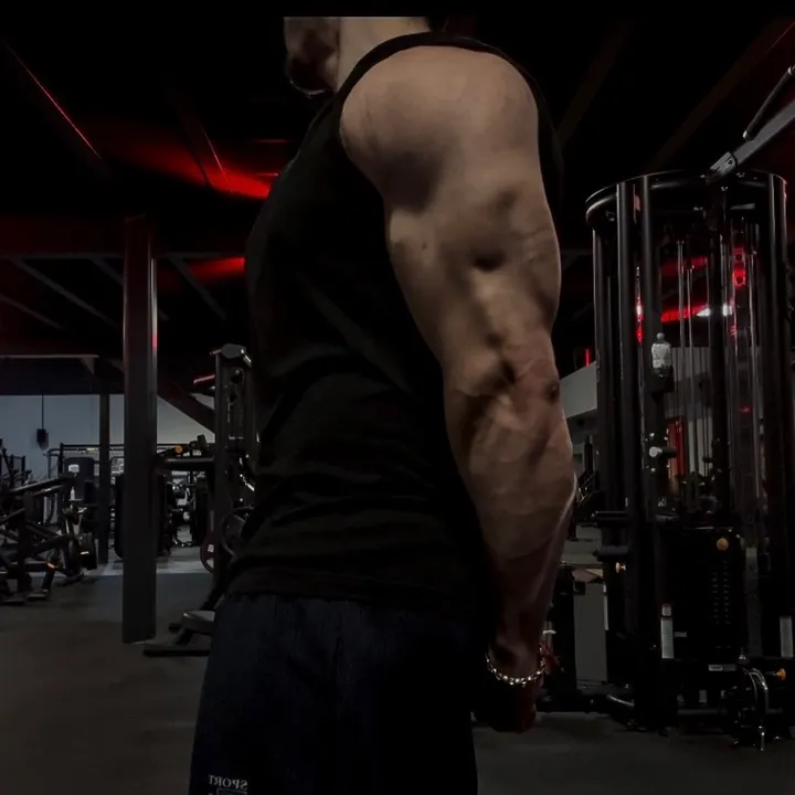 @alexx.rdv