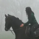 @sophia_hnvr543