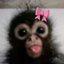@rockymonkey0
