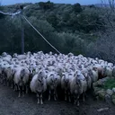 @mauriziomul0
