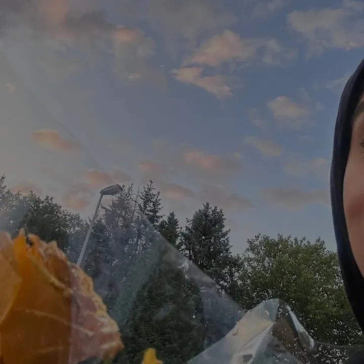 havin4deen