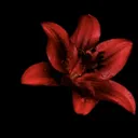 @amofann2e3412e