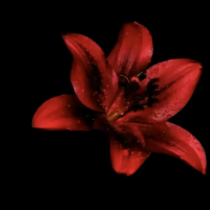 @amofann2e3412e
