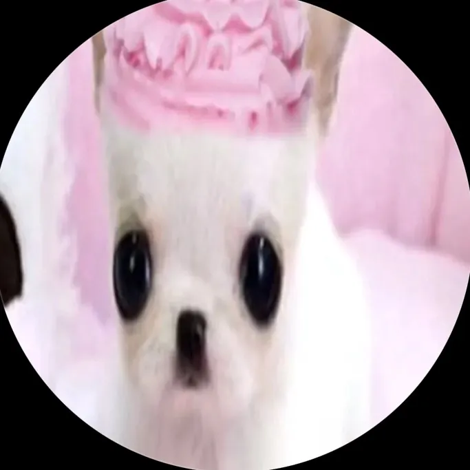 muschipups69