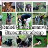 micaelaachimdomeniczimm0