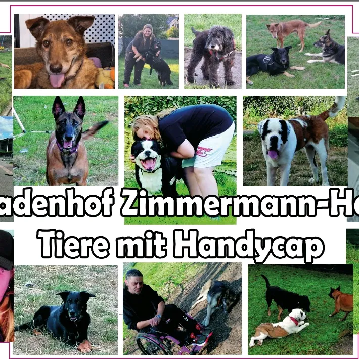 micaelaachimdomeniczimm0
