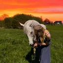 @greta.bsm