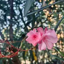 @0_0orbit