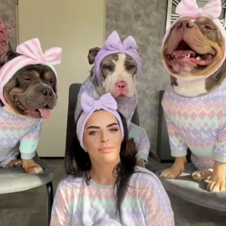 @bundleofbullies