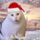 @apple.user2836375
