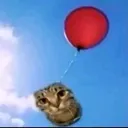 @timur4ik__