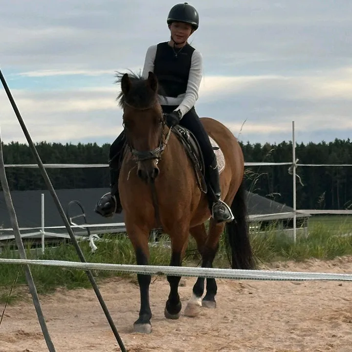 horse_fish2