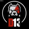 d13_academy