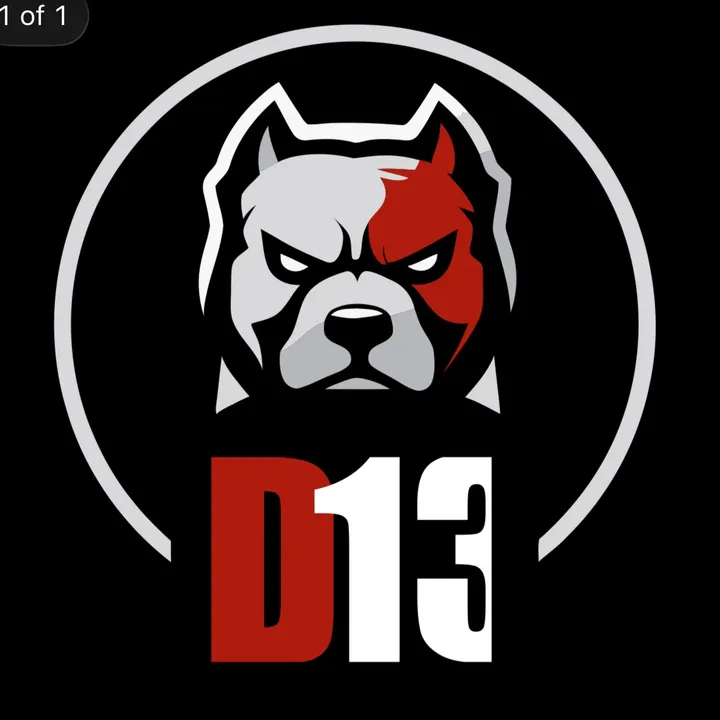 d13_academy