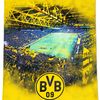 stivoefbvb09