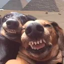 @relax_streamer