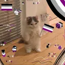 @asexualbarbie