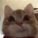 @aseyna.sechsacht