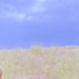 kebehv