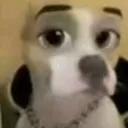 @jeffreyblunts1