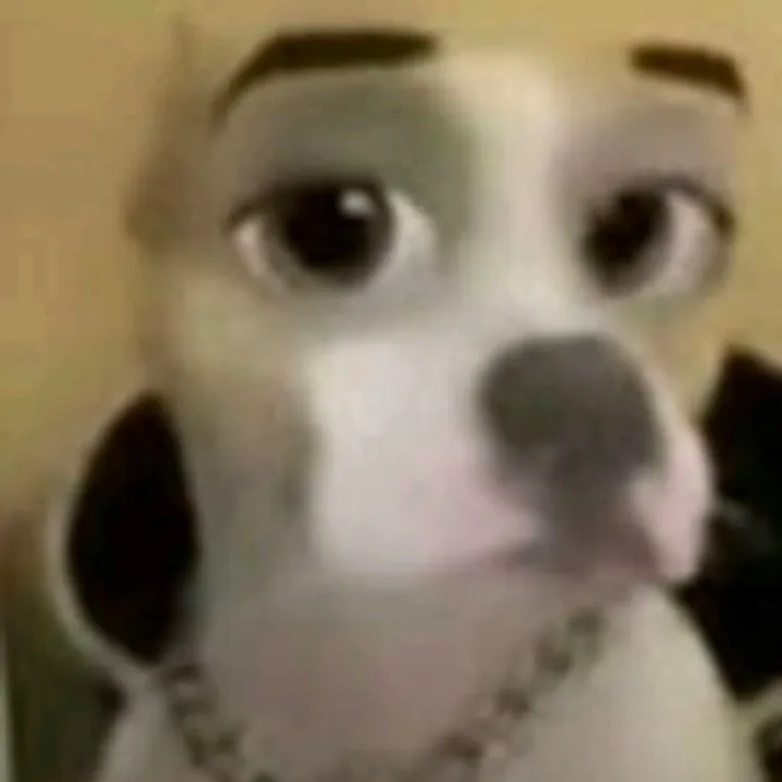 jeffreyblunts1