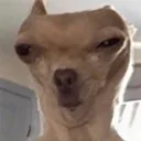 @000sens