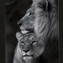 @manele_vibe
