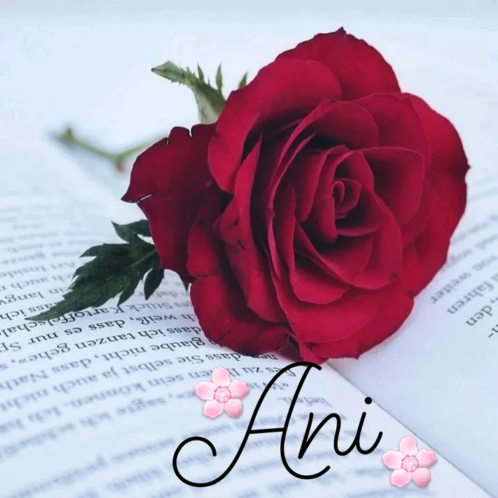 @y...any22