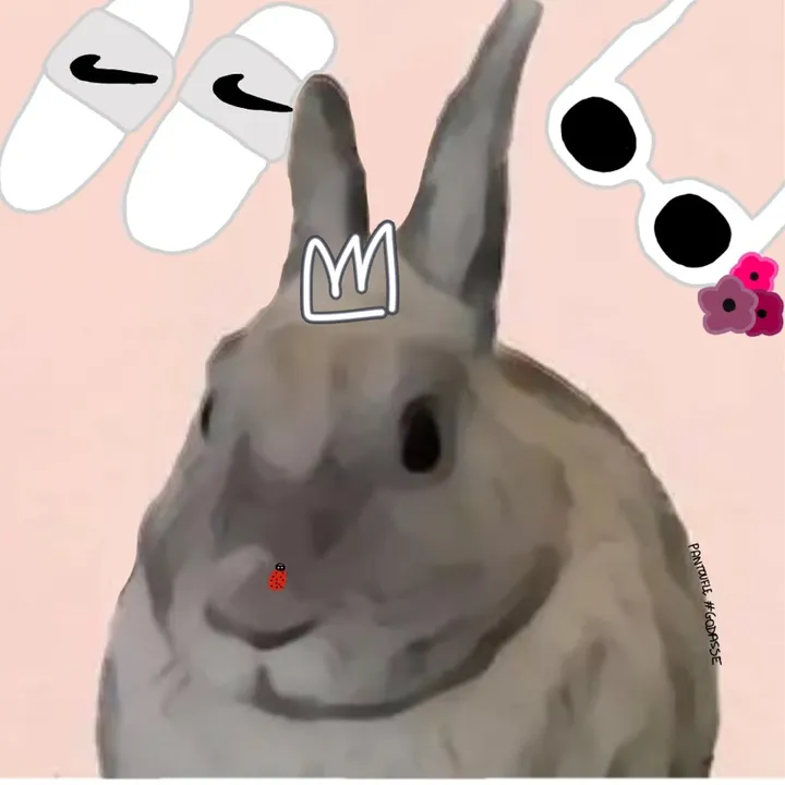 pantoufle.lapin