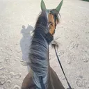 @wilma.berg1