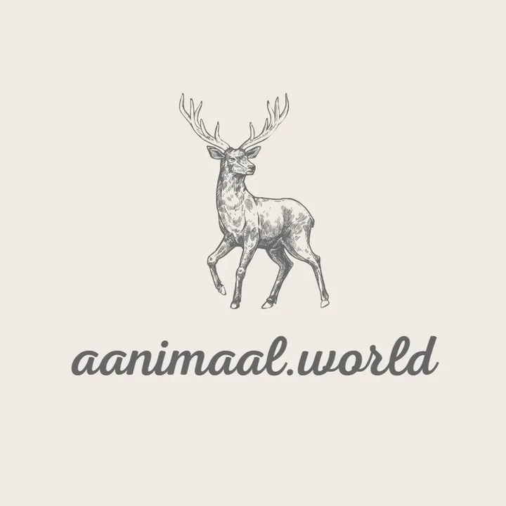aanimaal.world