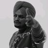 punjabi._jutt