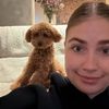 roxydekker