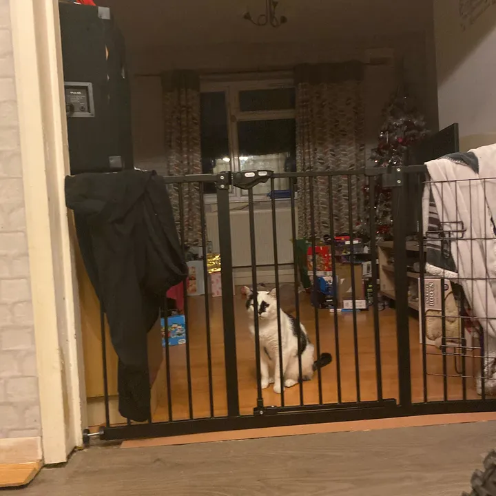 crazyjacob6