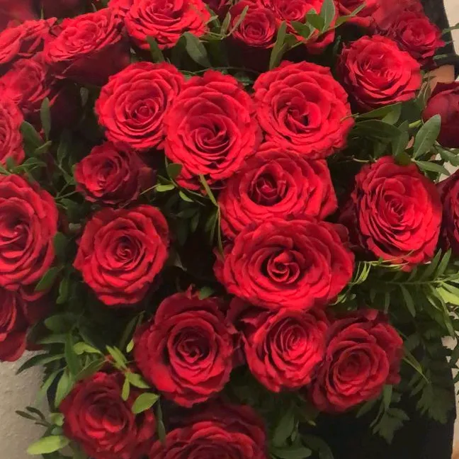 @jasmin.sir