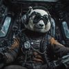 dkvision_ai