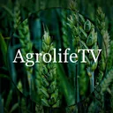 @agrolifetv5