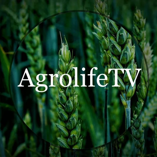 @agrolifetv5