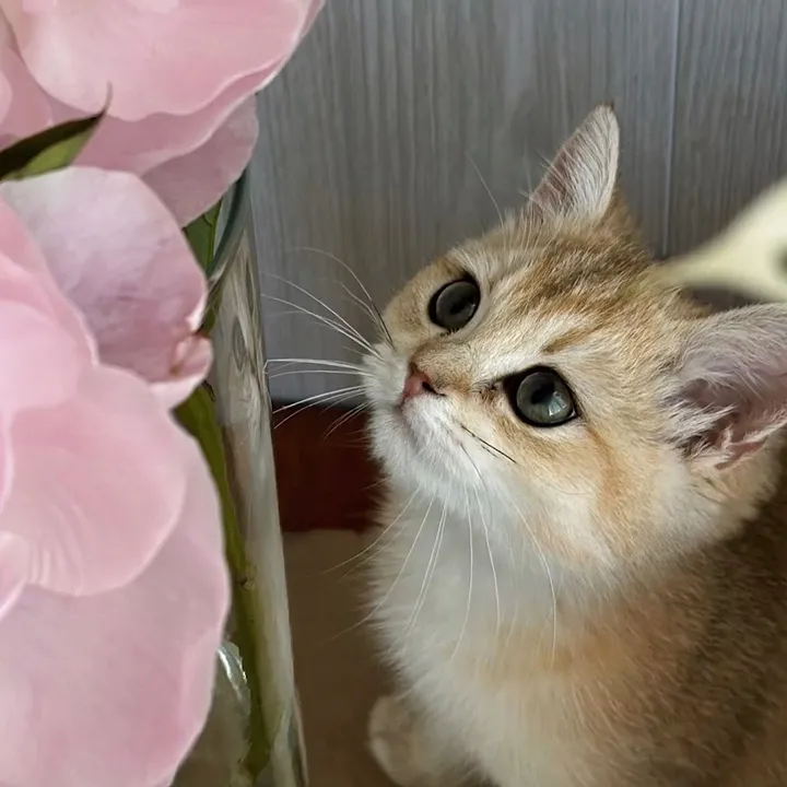 @user3773632873