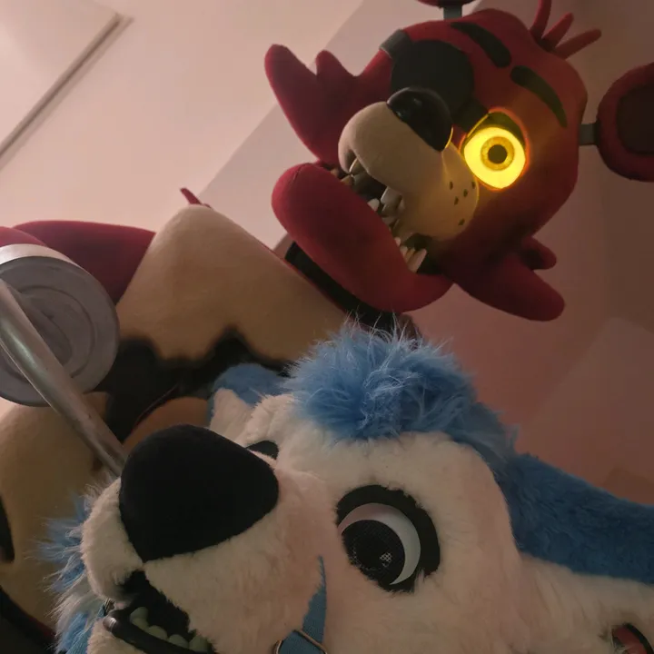 @the_fluffy_offiziell
