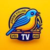 tvpiopio