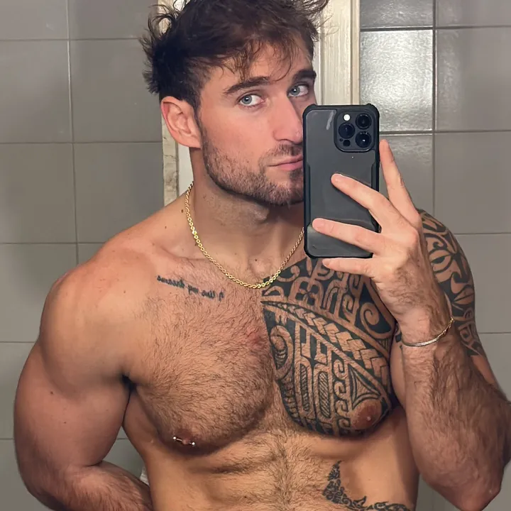 dragospinato