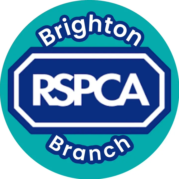 rspcabrighton