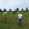sjosfarmvideos