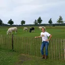 @sjosfarmvideos