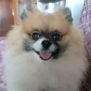 @thor0536