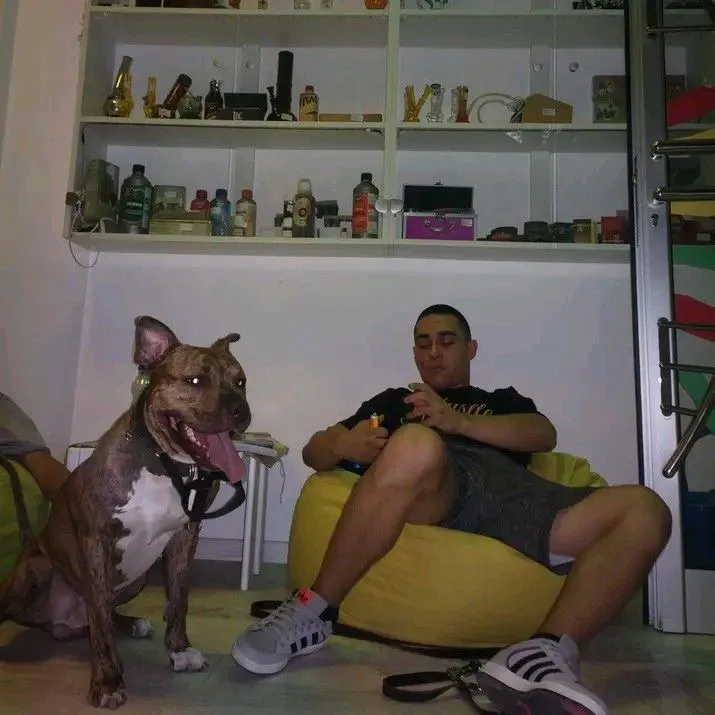 @teskacapri